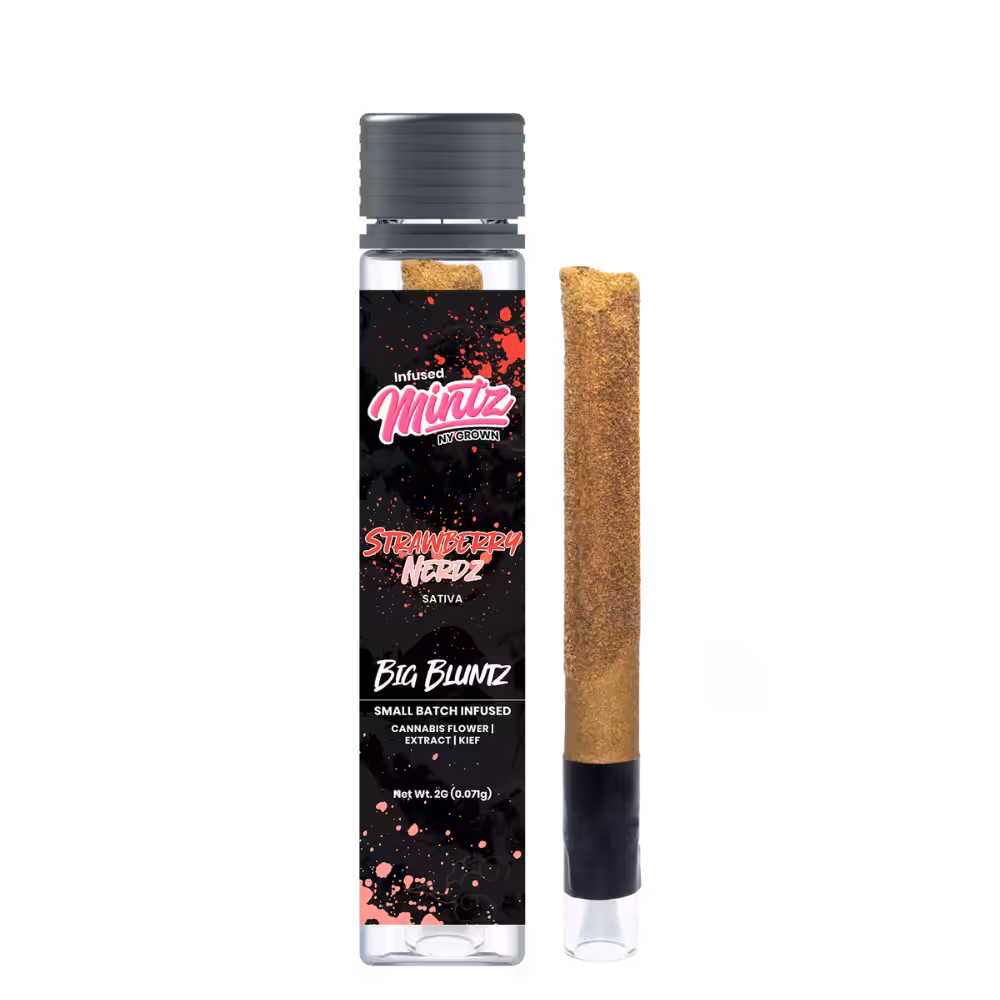 Strawberry Nerdz 2G Blunt with Glass Tip